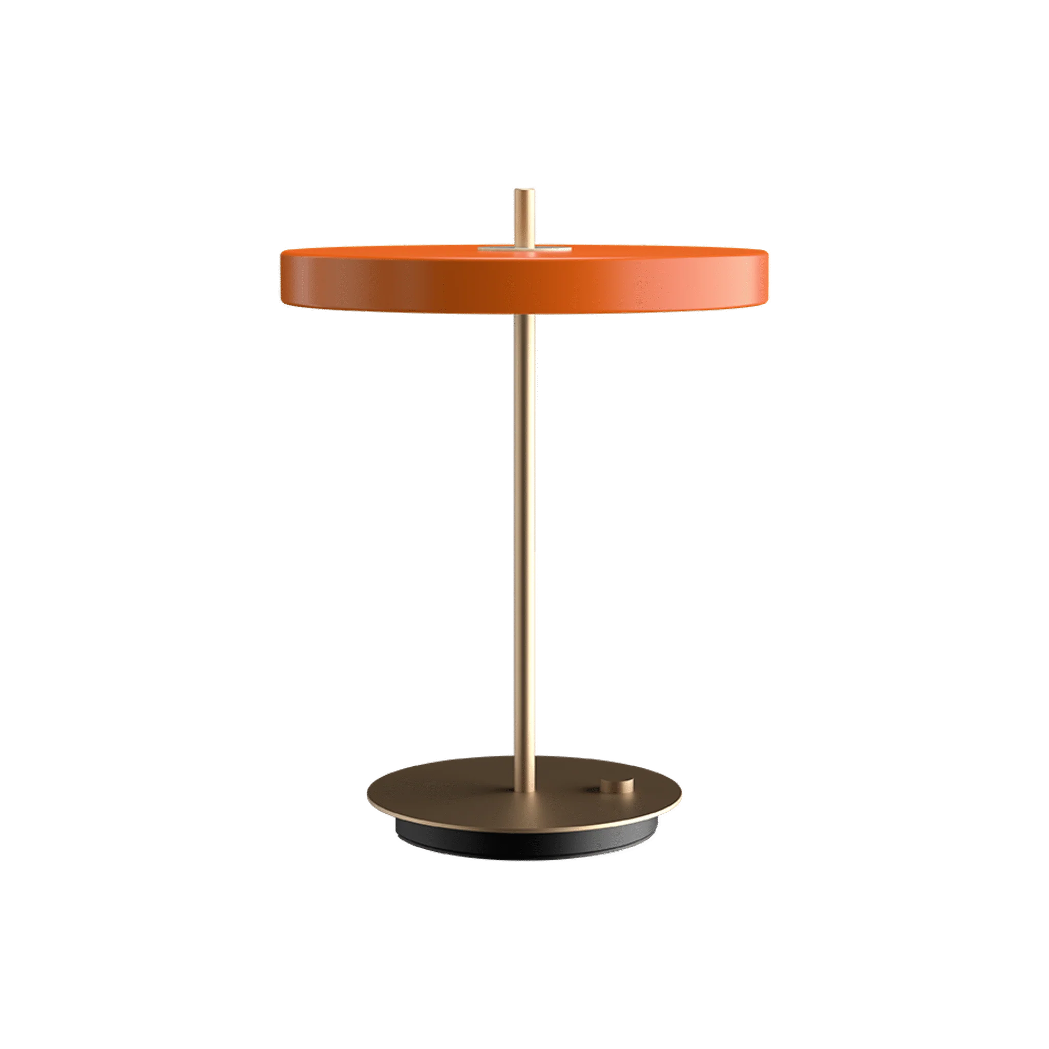 Asteria | table lamp - Image 43