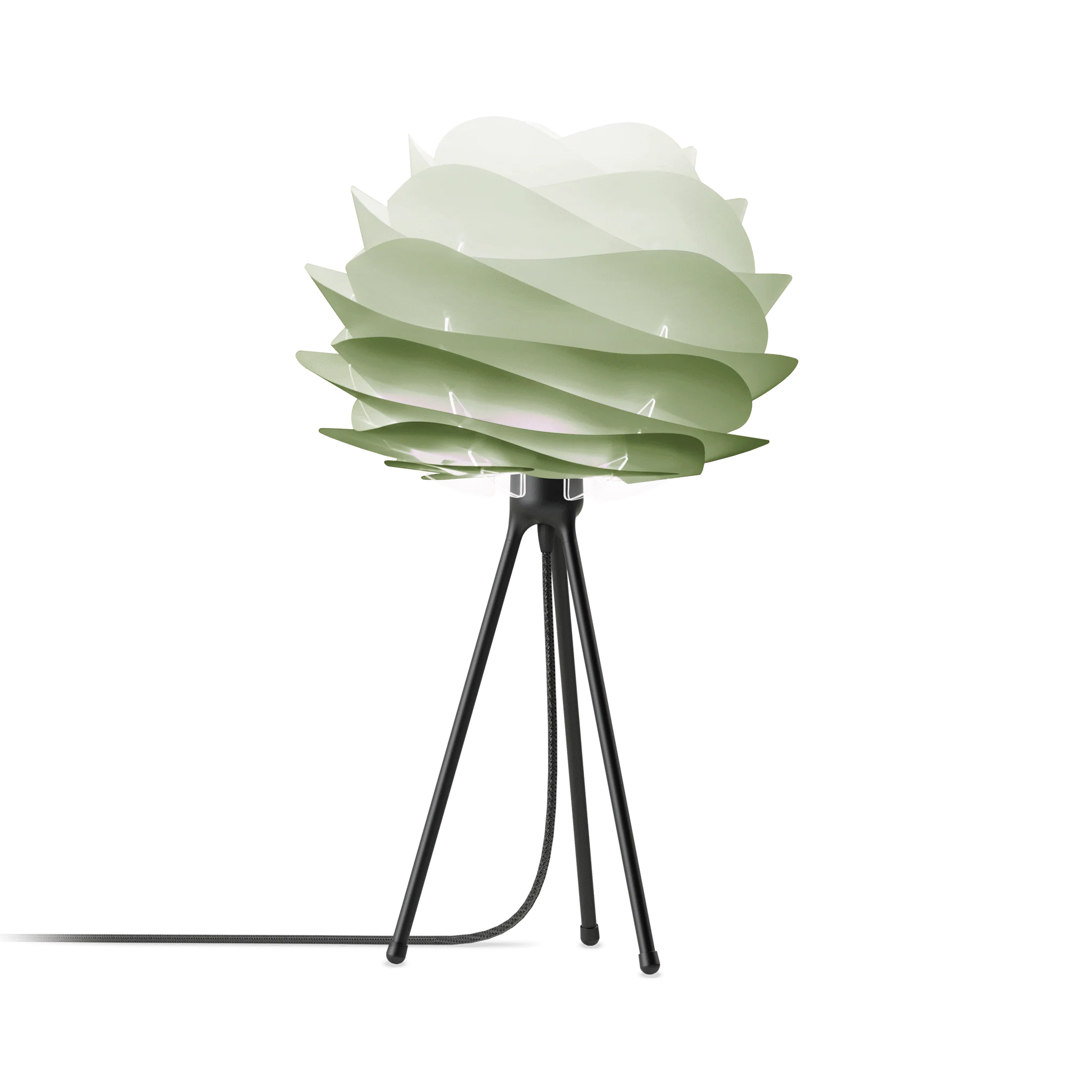 Carmina | lampshade - Image 20