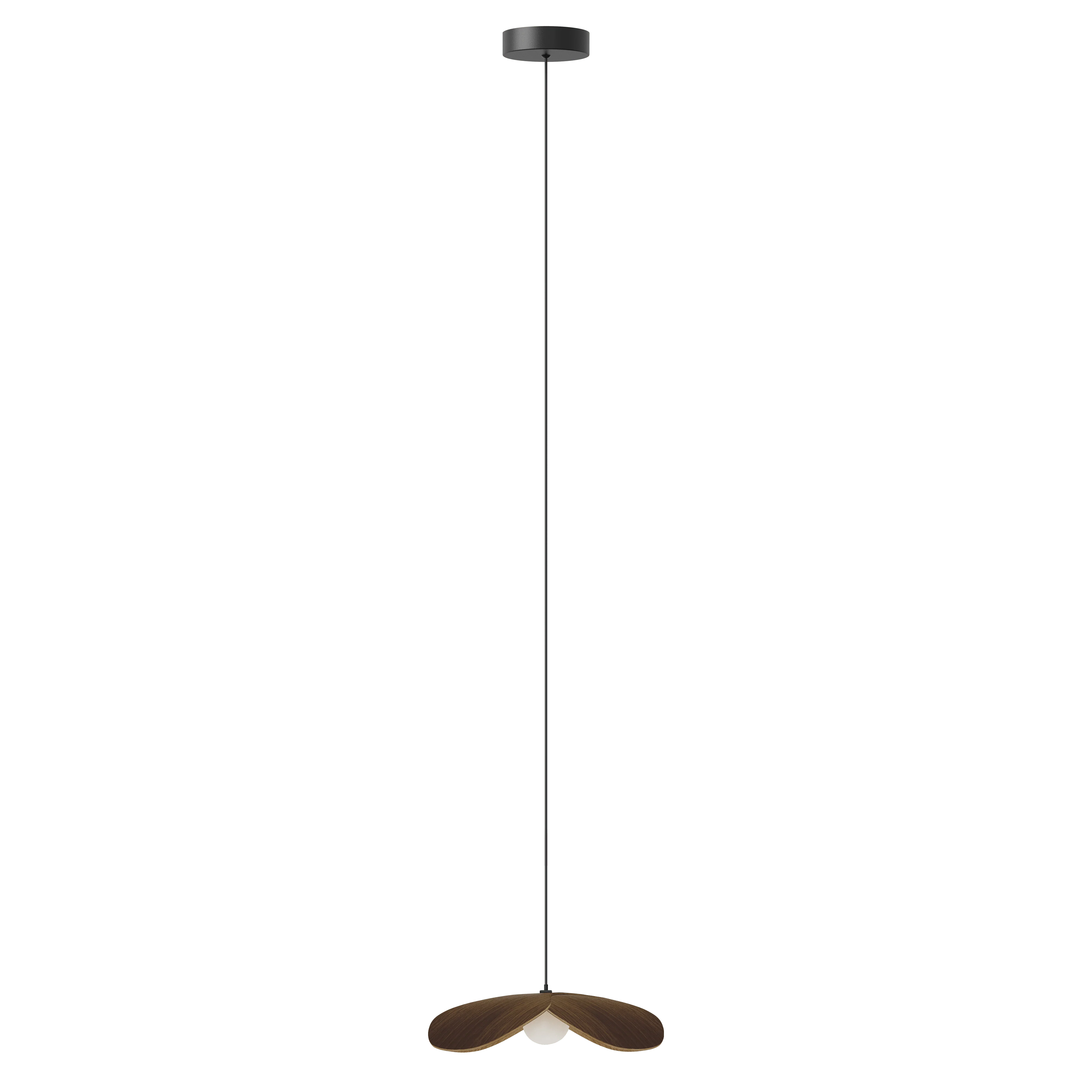 Forget Me Not single | lamp set - Image 13