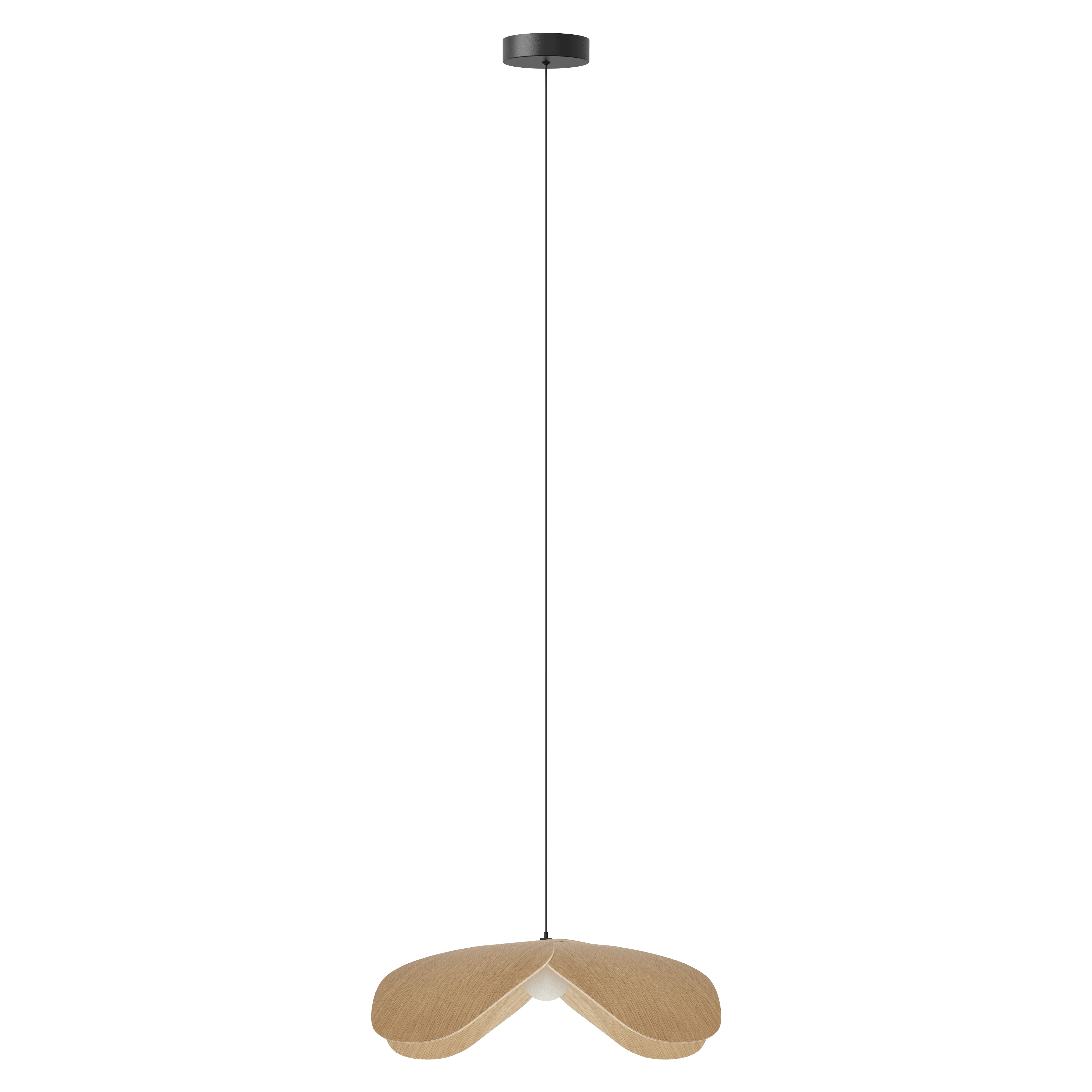 Forget Me Not single | lamp set - Image 19